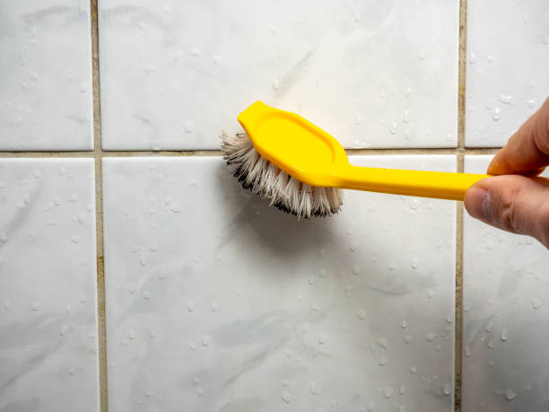 Best Mold Removal Company Near Me  in Corbin, KY