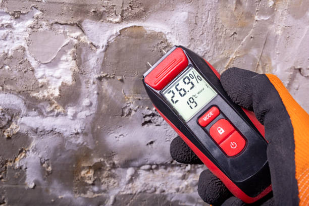 Mold Testing and Removal in Corbin, KY