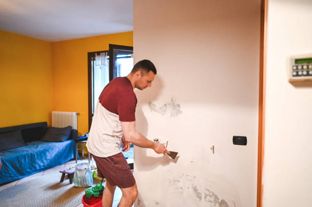 Corbin, KY Mold Removal Company